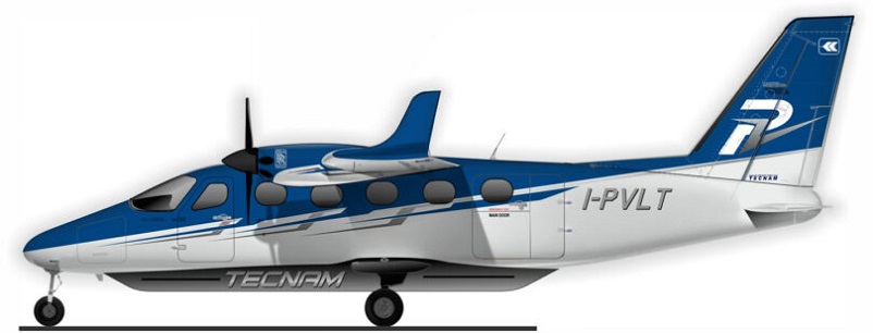 P-VOLT-TECNAM2010-144-810x309.jpg